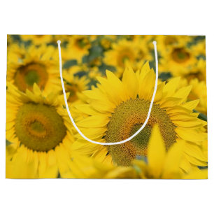 Grand Sac Cadeau Champ jaune de tournesols photo