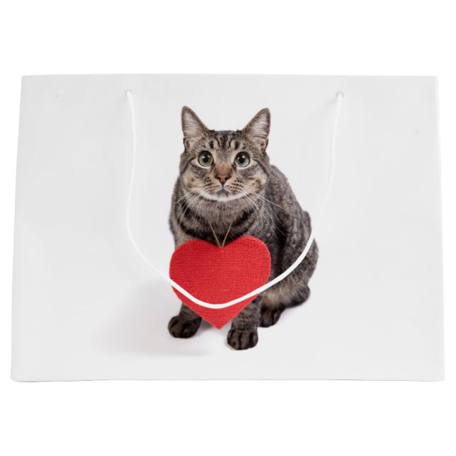 Grand Sac Cadeau Chat Love (Devant)