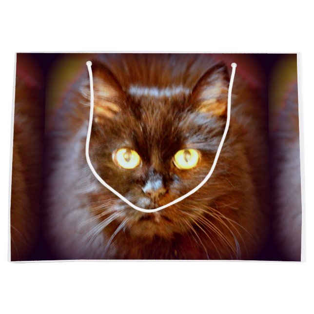 Grand Sac Cadeau chat noir (Devant)