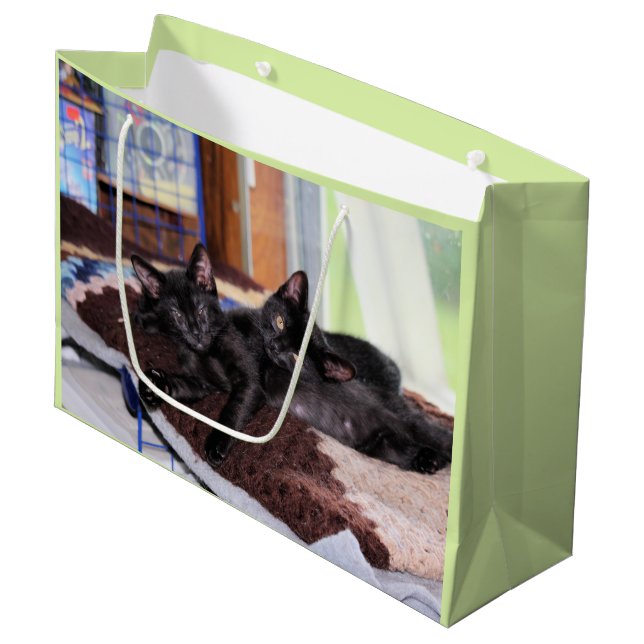 Grand Sac Cadeau Chatons (Devant Angle)