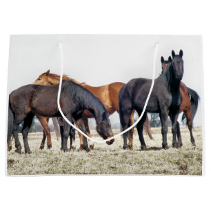GRAND SAC CADEAU CHEVAUX
