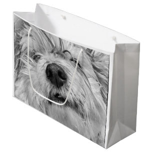 Grand Sac Cadeau Chien de Coton de Tulear