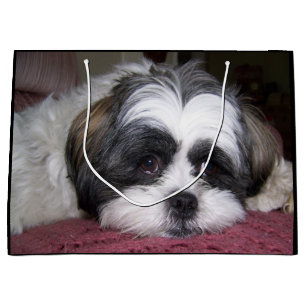 Grand Sac Cadeau Chien de Shih Tzu