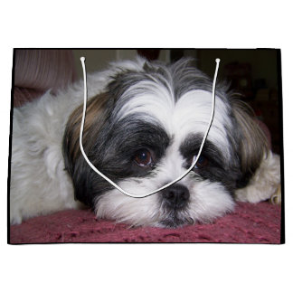 Grand Sac Cadeau Chien de Shih Tzu