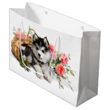 Chien Husky couché dans un panier