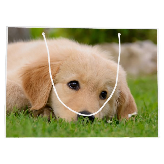 Grand Sac Cadeau Chiot mignon de golden retriever rêvant le (Dos)