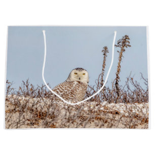 Grand Sac Cadeau Chouette neige assise sur la plage