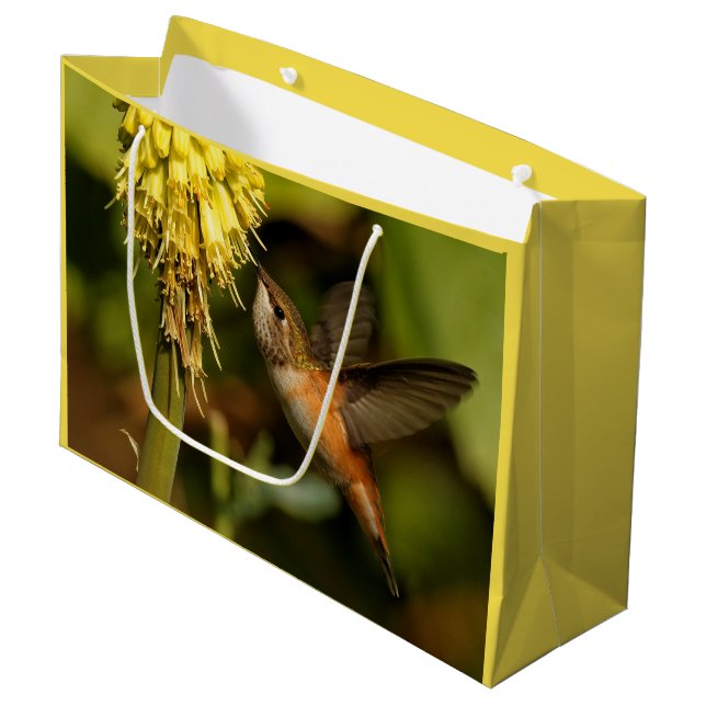 Grand Sac Cadeau Colibri roux Sirotant Le Nectar Kniphofia (Devant Angle)