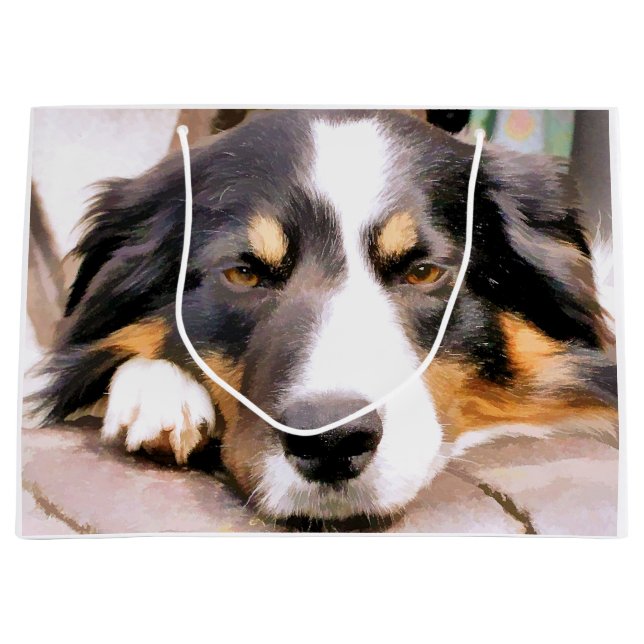 GRAND SAC CADEAU COLLÈGES FRONTALIERS (Devant)