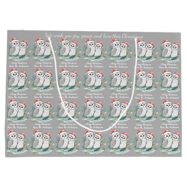 Grand Sac Cadeau Cosy Cute Owl Christmas Gift Bag (Dos)