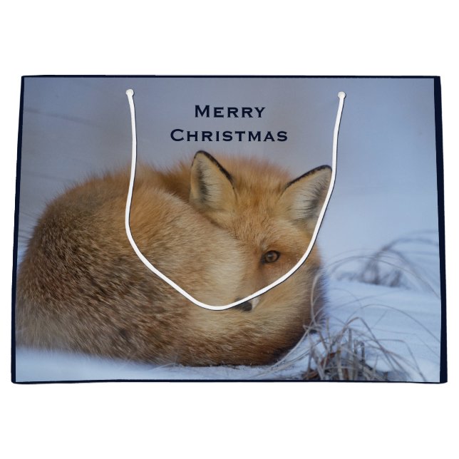 Grand Sac Cadeau Cute Little Fox Curling Up Winter Photo (Devant)