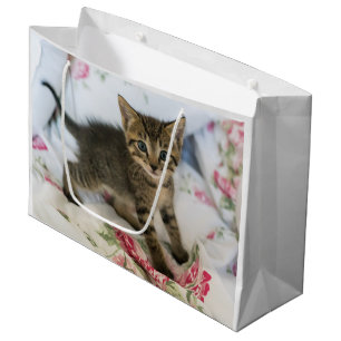 Grand Sac Cadeau Cute Tabby Kitten À L'Air Surpris