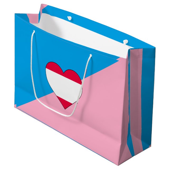 Grand Sac Cadeau Drapeau de fierté de jeu d'âge (Devant Angle)