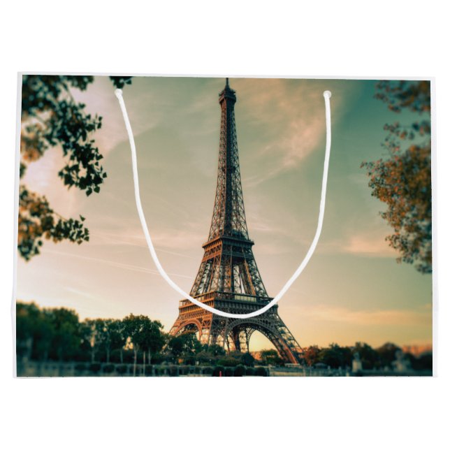 Grand Sac Cadeau Eiffel tour lancer oreiller (Dos)