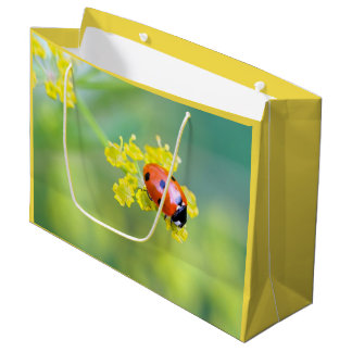 Grand Sac Cadeau femme au sommet