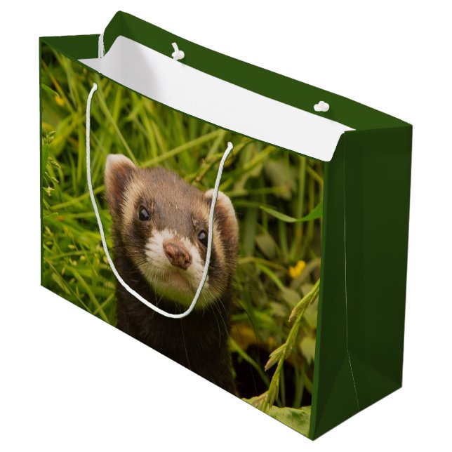 Grand Sac Cadeau Ferret Brown dans l'herbe (Devant Angle)