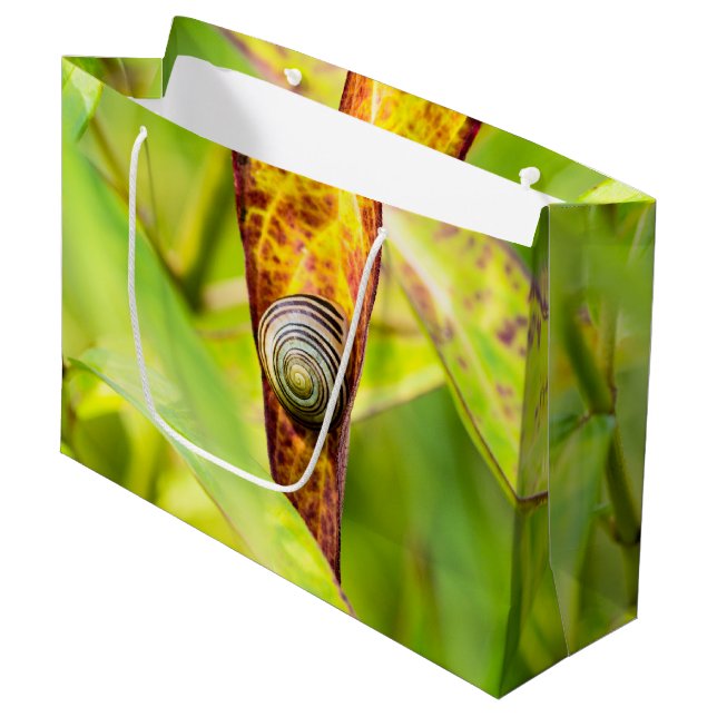 Grand Sac Cadeau fixation calme (Devant Angle)