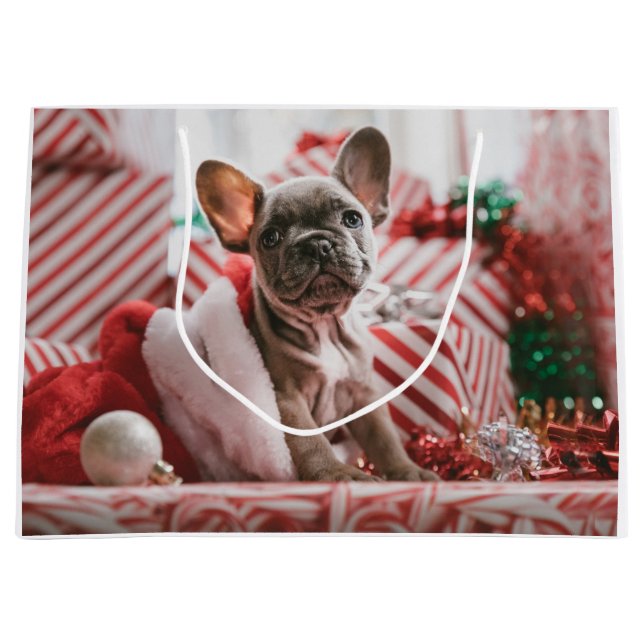 Grand Sac Cadeau French Bulldog (Devant)