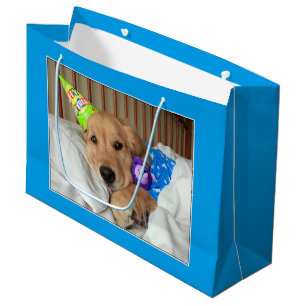 Grand Sac Cadeau Golden retriever somnolent dans l'anniversaire de