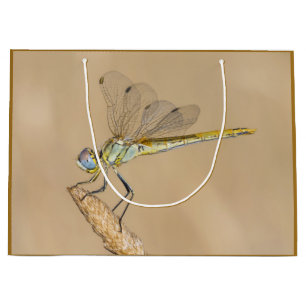 Grand Sac Cadeau Grande Libellule Skimmer Femelle (CC BY 4.0) 