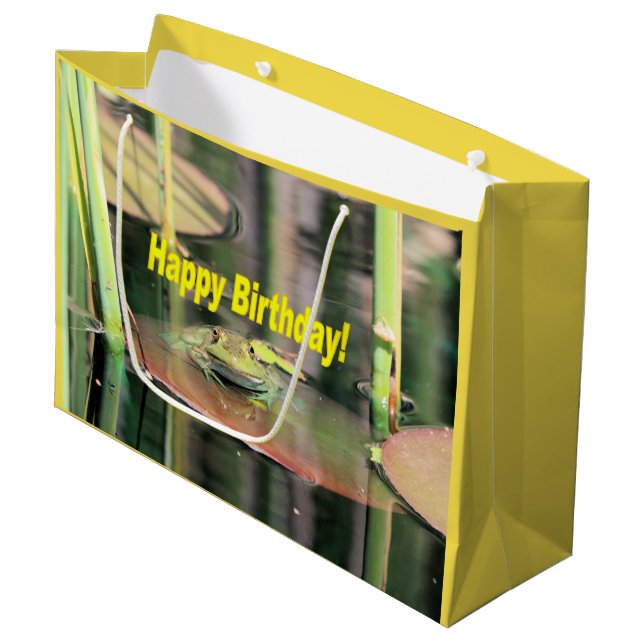Grand Sac Cadeau Grenouille d'anniversaire (Devant Angle)