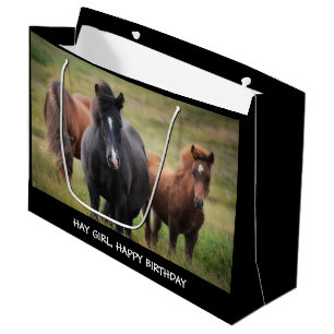 Grand Sac Cadeau Hay Girl Joyeux Anniversaire Cheval Grand Cadeau S