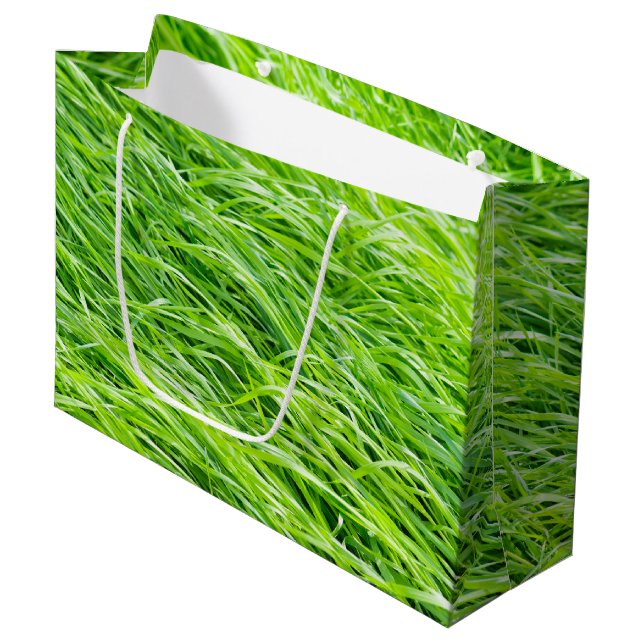 Grand Sac Cadeau Herbe (Devant Angle)