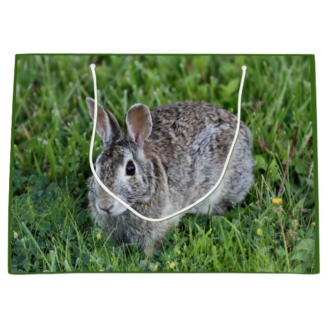 Grand Sac Cadeau Hoppy Bummy (Devant)