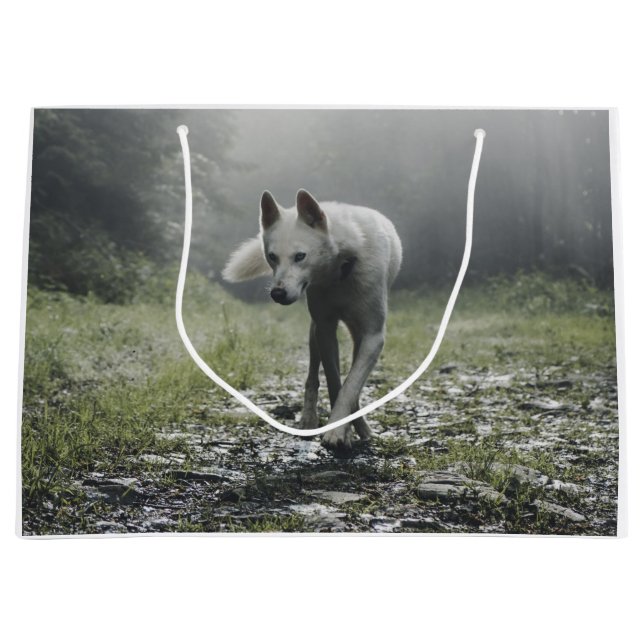 Grand Sac Cadeau Husky Sibérien Blanc (Devant)