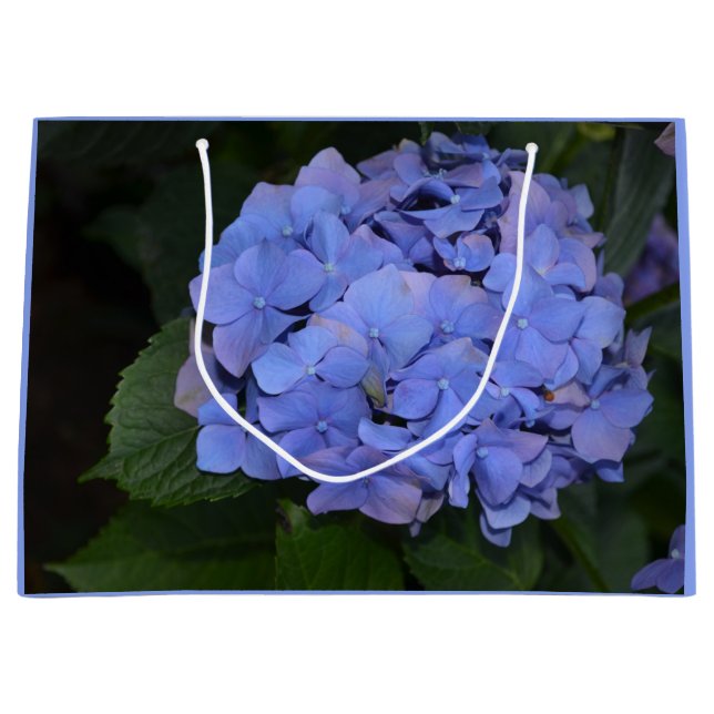 Grand Sac Cadeau Hydrangea macrophylla Violet Rustique   (Devant)