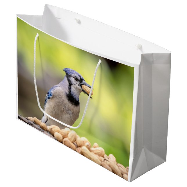Grand Sac Cadeau Jay bleu avec arachide (Devant Angle)