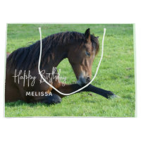Joli Cheval Brown allongé dans l'herbe Anniversair