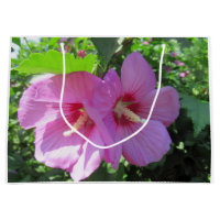 Jolie rose rose de Sharon Photo