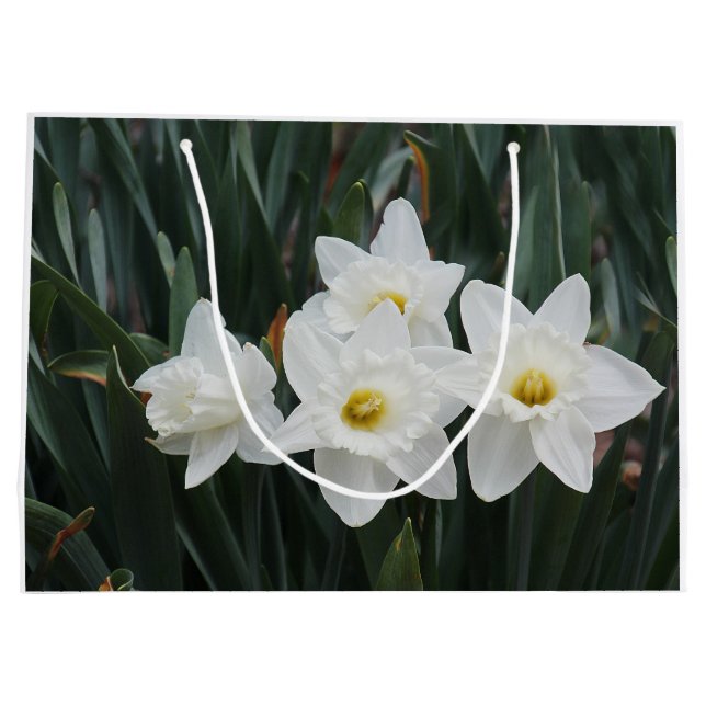 Grand Sac Cadeau Jonquilles blanches (Dos)