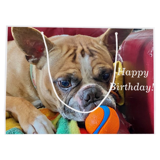 Grand Sac Cadeau Joyeux anniversaire Brindle Bostyon Terrier (Dos)