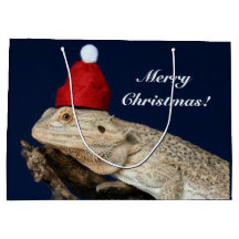 Joyeux Lézard Dragon Bearé Noël - Santa Hat
