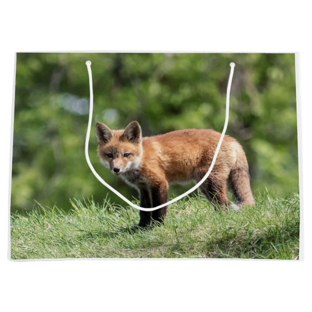 Grand Sac Cadeau Kit de Fox rouge (Devant)