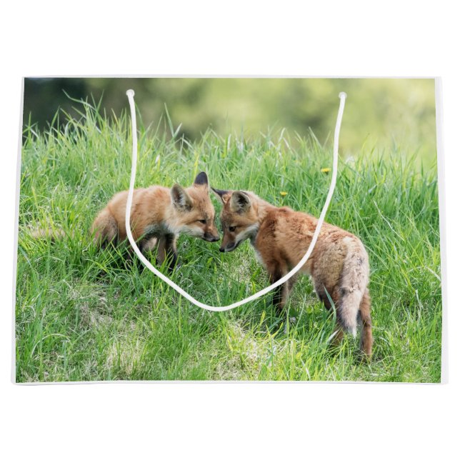 Grand Sac Cadeau Kits Red Fox (Devant)
