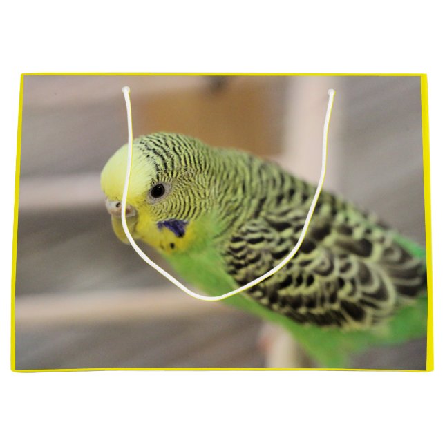 Grand Sac Cadeau Kiwi (Devant)