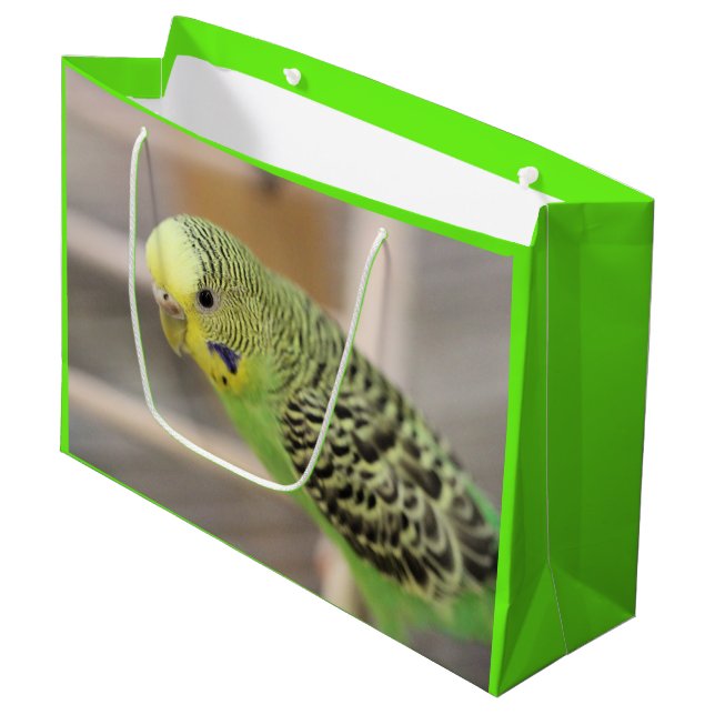 Grand Sac Cadeau Kiwi (Devant Angle)