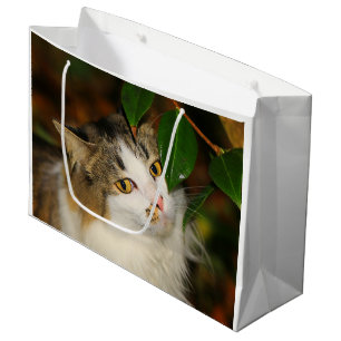 Grand Sac Cadeau Le chat et la Camellia