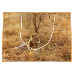 Grand Sac Cadeau Lion