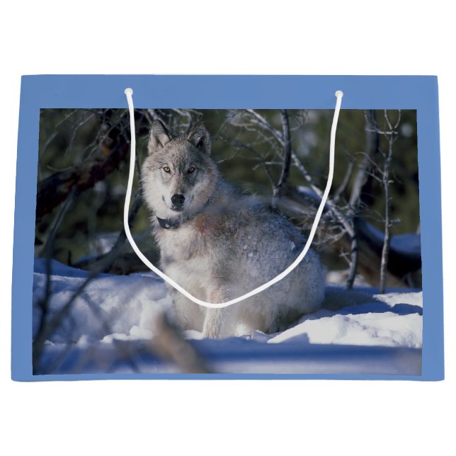 Grand Sac Cadeau Loup d'hiver (Devant)