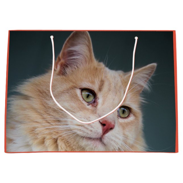 Grand Sac Cadeau M. Handsome (Devant)