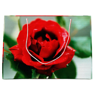 Grand Sac Cadeau Magnifique rose rouge avec gouttes de rosée matina