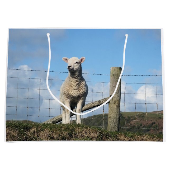 GRAND SAC CADEAU MOQUETTE (Devant)