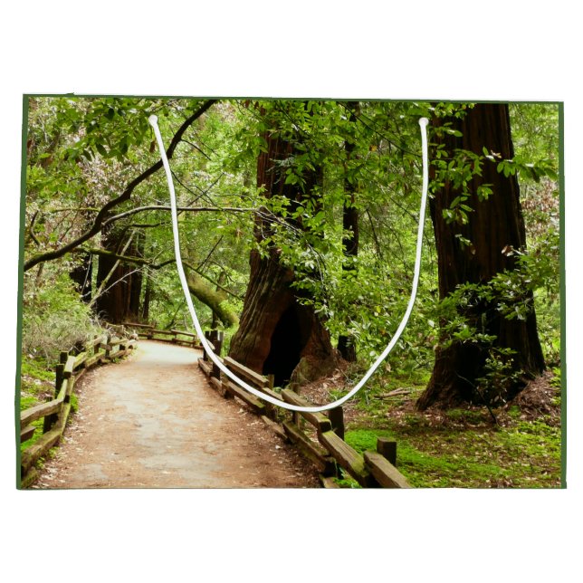 Grand Sac Cadeau Muir Woods Path II Nature Photography (Dos)
