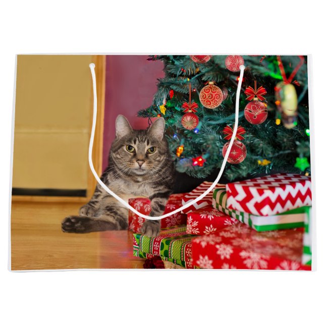 Grand Sac Cadeau Noël de Tabby Kitty (Devant)
