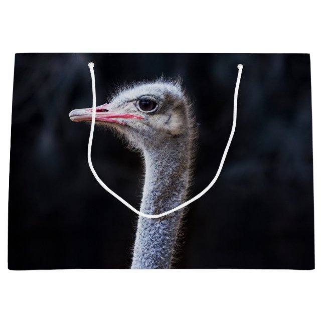 Grand Sac Cadeau ostrich portrait  (Devant)