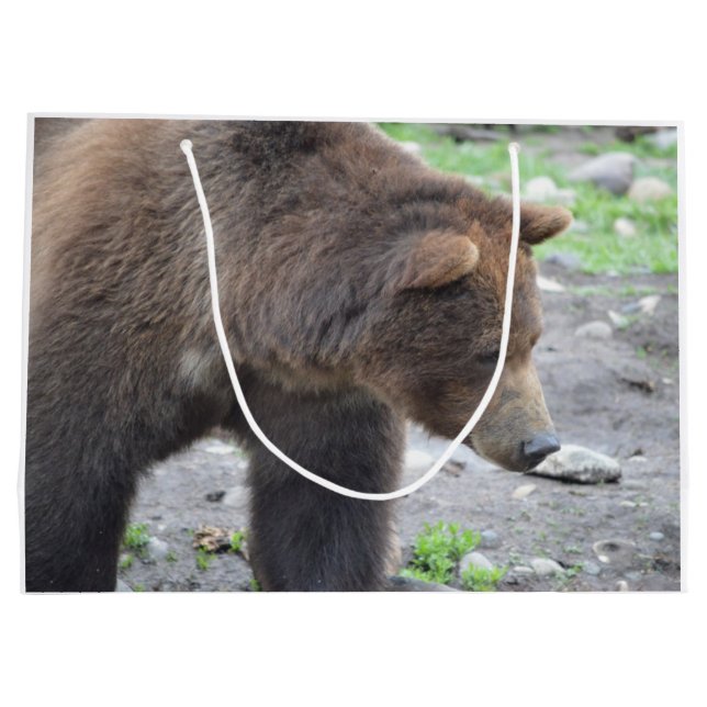 Grand Sac Cadeau Ours gris (Dos)